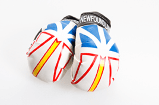 Miniature Newfoundland boxing gloves souvenir